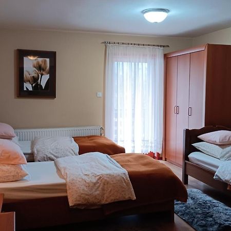 Apartment Medo Ravna Gora Extérieur photo